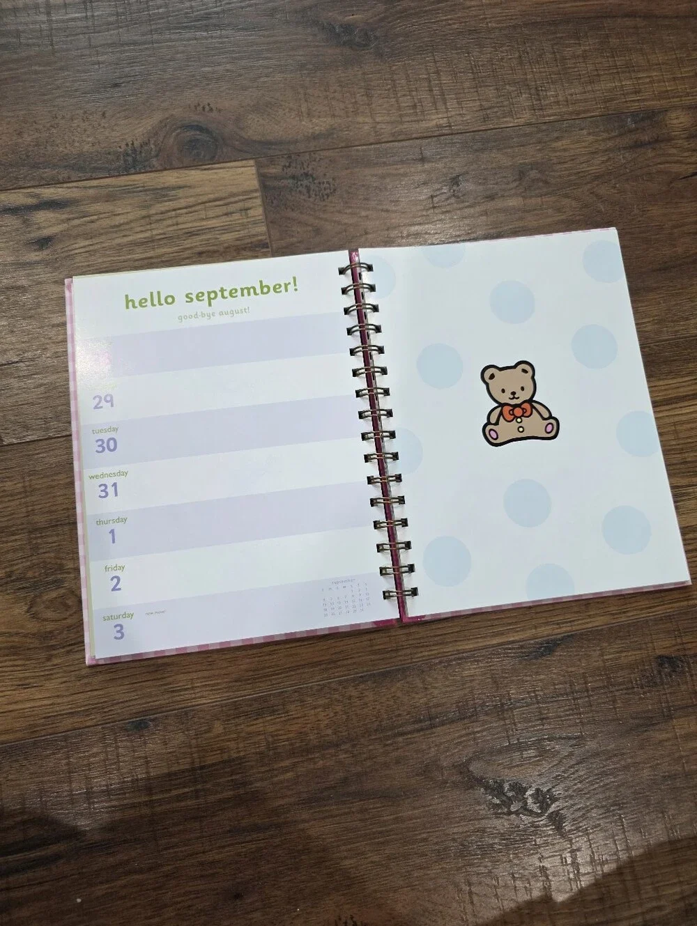 Hello Kitty Pink Gingham Desk Calendar Notebook 2005